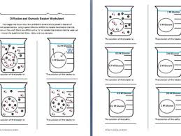 Students will look at diagrams and predict the direction of movement for water and solutes. Diffusion Osmosis Worksheet Answers Promotiontablecovers