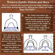 Western Saddle For The Non Western Rider The Horse Forum