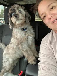 NAVY LADIES in PEEKSKILL TODAY