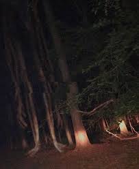 Pin By Diana Donaji On Meet Me At Midnight Scary Photos Creepy Images Creepy Pictures