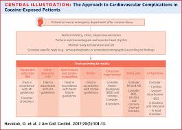 The Cardiovascular Effects Of Cocaine Sciencedirect