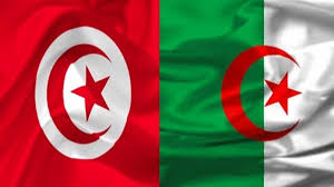 Drapeau pour la coupe afrique des nation 2019. Tunisie Algerie Vers Le Developpement Des Incitations Commerciales