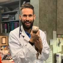 Steven frank who is a radiation oncologist at m.d. Vernon Woods Animal Hospital Jobs Glassdoor