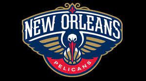 The Official Palette Includes New Orleans Pelicans Orleans Pelican