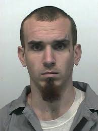 Man who injured sheriff's dog sentenced to five years