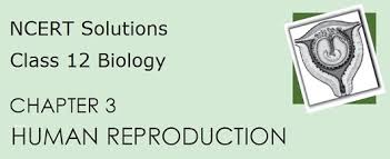 NCERT Solutions for CBSE 12 Biology, Chapter 3 in PDF format