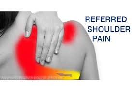 Gallbladder Problems Gallbladder Pain Panosundaki Pin