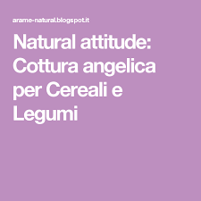 Natural Attitude Cottura Angelica Per Cereali E Legumi Legumi Cereali Angeli