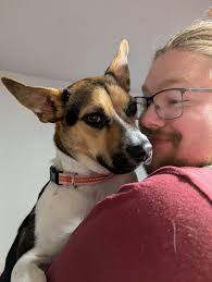 Dogs for Adoption Near Lindon, UT