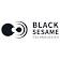 Black Sesame Technologies Inc logo