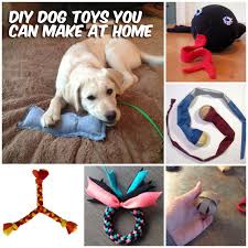 I want to make something similar to nina ottosson's interactive dog toys.  something that requires my pup to work a little to find the reward.  i want to make something similar to nina ottosson's interactive dog toys. 37 Homemade Dog Toys Made By Diy Pet Owners