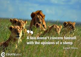 Quote A Lion Doesn T Concern Himself With The Opinions Of A Sheep