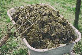 1 manure application rate, calculated using the listed expected yield, book values for crop n requirement or utilization, a book value of 10 lb n/ton of manure, and incorporation as noted. Different Types Of Animal Manure Pros And Cons Of Using Manure As Fertilizer