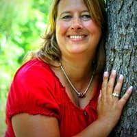 The Accidental Bestseller by Wendy Wax