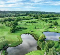 Image result for Haig Green 1930 Chrysler