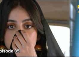 Noor Bibi Episode, Noor Bibi Drama Cast, Noor Bibi Schedule, Noor Bibi OST