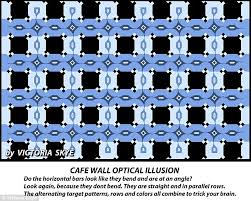 Image result for illusion pictures