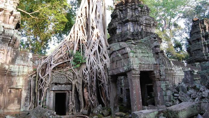 Mga resulta ng larawan para sa Ta Prohm Temple in Cambodia"