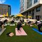 The Collective Pulse: A Serenity Sunday Wellness Social