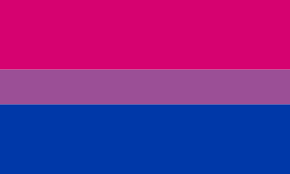 It is essentially morphing into a symbol for anyone who's not white and heterosexual, and that creates a gigantic imbalance. Bisexual Pride Flag Wikiwand