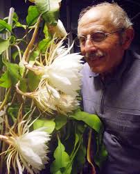 In memory of my friend Umberto Garbuio