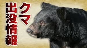 News source: TBS NEWS DIG