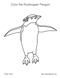 Penguin (Rockhopper) – Coloring Nature