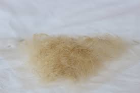 Professional Quality Fine Lace Blonde Human Hair Pubic Hair Wig / Toupee /  Merkin Postiche Film / Theatre / Tvm / Theatre / TV - Etsy