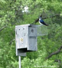 Photos Volo Bog Illinois Only Quaking Bog Volo Illinois Nature Preserve