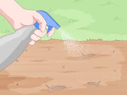 Use caution as vinegar can kill many common plants. How To Garden With Vinegar 9 Steps With Pictures Wikihow