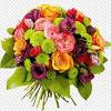 Foglie ghirlanda di fiori free png stock. Https Encrypted Tbn0 Gstatic Com Images Q Tbn And9gcqtoqmpu8b33it4krlivjbvnzic1fhqmudlwow1qnnzch6puzv4 Usqp Cau