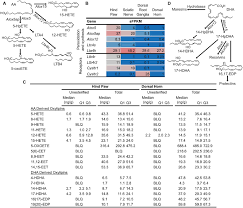 6 healthcare drive, suite 1, rochester, nh 03867 map · call for an appointment. Molecular Pathways Linking Oxylipins To Nociception In Rats The Journal Of Pain