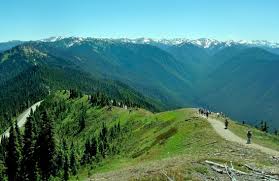 The national park service is an agency of the federal government of the united states that manages all national parks, many national monumen. Depends On The Weather Review Of Hurricane Ridge Olympic National Park Wa Tripadvisor