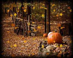 Fall scene with pumpkins and bench. Pin On Halloween