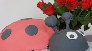 Mehl und backpulver mischen, dazusieben, gut mischen. Leckere Marienkafer Torte Kindergeburtstag Or At