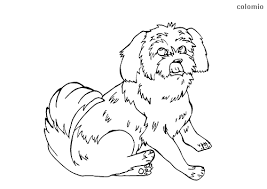 You can use our amazing online tool to color and edit the following yorkie coloring pages. Dogs Coloring Pages Free Printable Dog Coloring Sheets Page 2