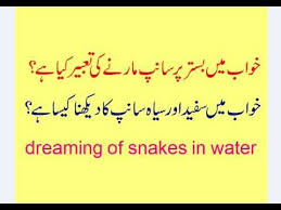 Black And White Snake Dream Meaning In Islam Dreaming Of Snakes In Water Snakes In Dreams Meaning Black And White Dream Meanings Meant To Be Dream