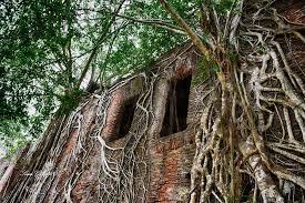We did not find results for: Ex Hacienda De San Cayetano En El Rincones De Nayarit Facebook