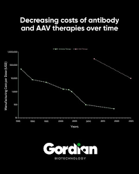 Image result for Black 1995 AAV