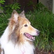 Winters chapel animal hospital | 5 followers on linkedin. Winters Chapel Animal Hospital 3017 Peeler Road Atlanta Reviews And Appointments Topvet