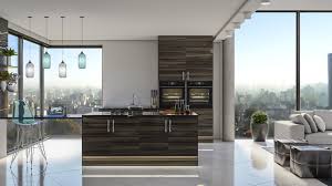 japanese pear modern apartment kitchen