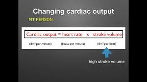 Learn what two variables are used to calculate cardiac output the fick principle for cardiac output. As Level G 12 Control Of The Heart Beat Ms Cooper Youtube