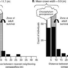 Image result for Chrysophyllum gorungosanum