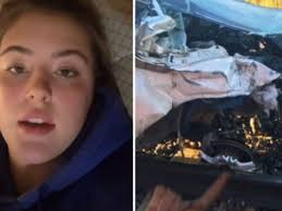 El estremecedor relato de la joven que chocó contra un tren: "Me desperté  en Urgencias"