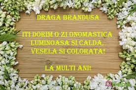 Pe lângă cei 47 de ani de teatru pe scena de la țăndărică, brândușa silvestru a devenit, după 1990, și unul dintre cei. La Multi Ani Brandusa