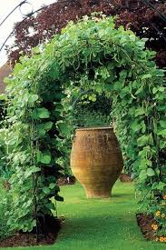 Maybe you would like to learn more about one of these? 11 Runner Bean Support Inspiration Ideas Veggie Garden Vegetable Garden Veg Garden