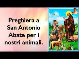 Preghiera a sant'antonio che si recita all'arca santa in tutti i martedì dell'anno. Preghiera A San Antonio Abate Per I Nostri Animali Youtube