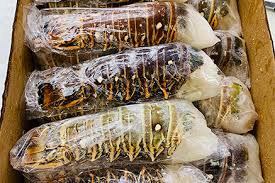 Whether you like them boiled, broiled, baked or even grilled, there's a lobster tail recipe for you here. Lobster Tails Frozen 10lb Box Klf Fisheries Llc