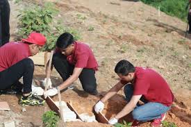 According to mohm's terminology, pvas refers to. Starbucks Malaysia Global Month Of Service Gmos 2018 Community Edible Garden Maintenance And Community Workshop Ecoknights