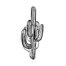 Cactus, drawing, sticker, black and white , plant, hand, line, cactus, drawing, sticker png. Tattly Designy Temporary Tattoos Tatouage Cactus Tatouage Idees De Tatouages